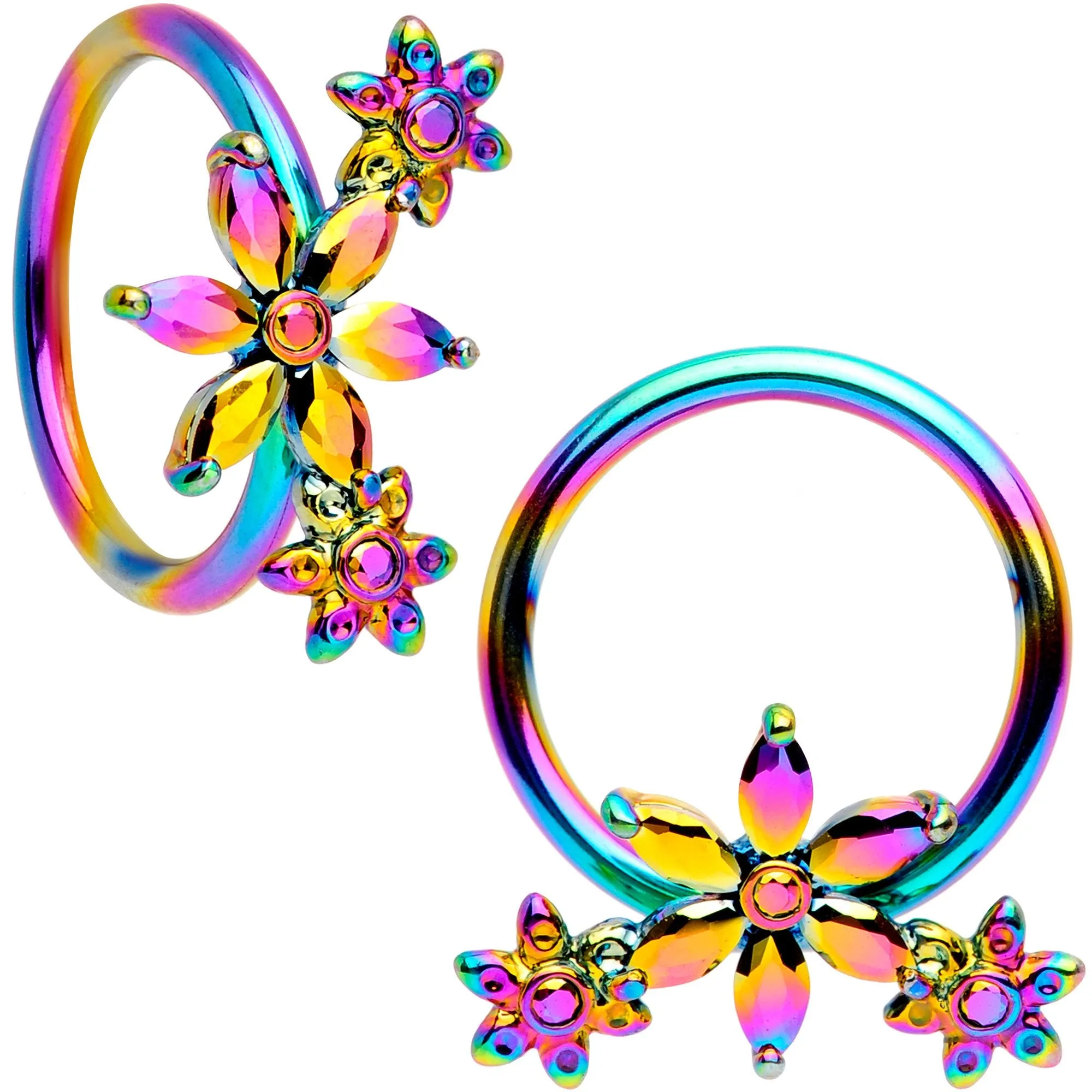 16 Gauge 3/8 Rainbow Flower Power Horseshoe BCR Captive Ring Set