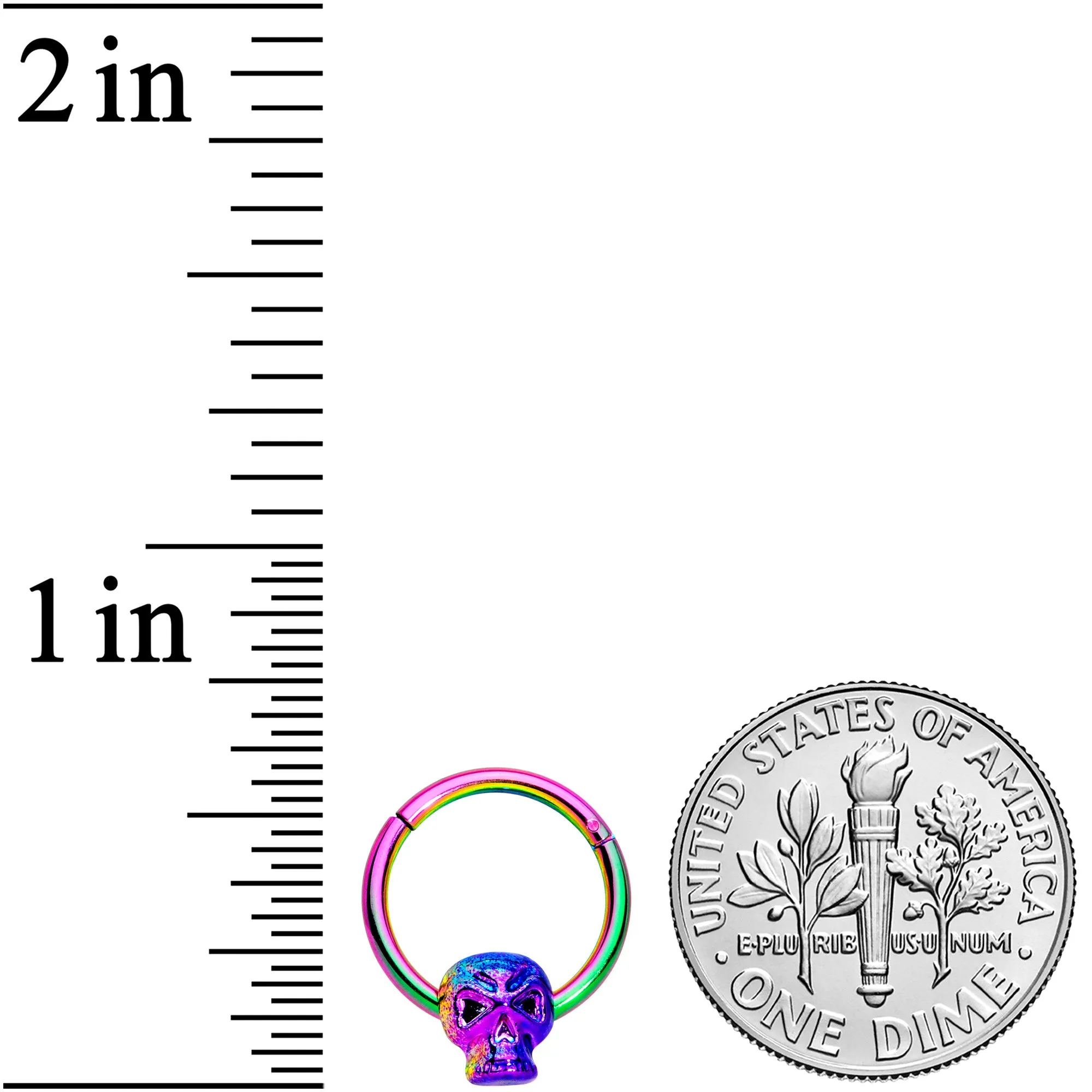 16 Gauge 3/8 Rainbow Plated Scary Skull Hinged Segment Ring