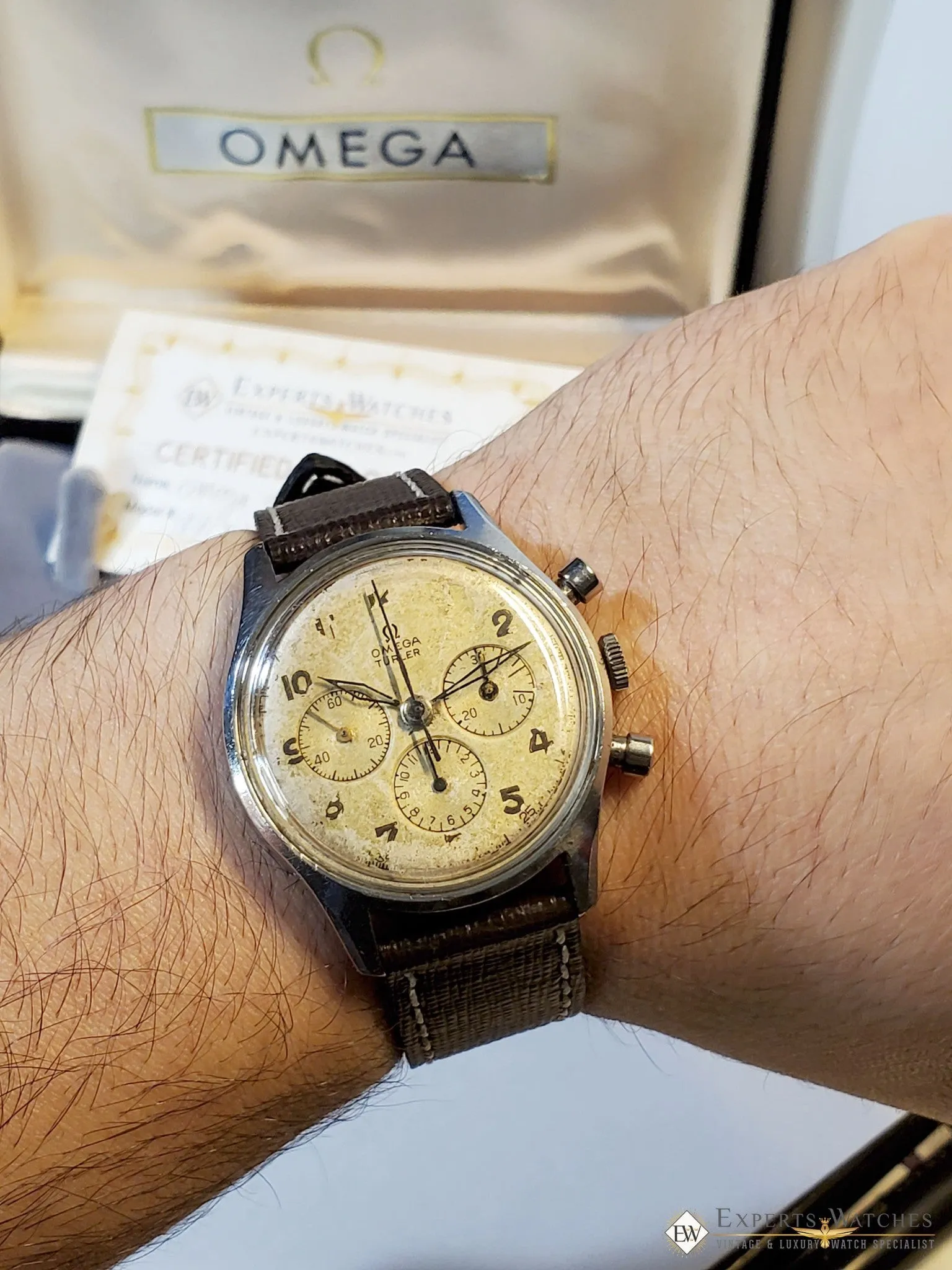 1950 Vintage Omega Turler Chronograph Cal 321 Pre SpeedMaster Ref 174 2451 Watch
