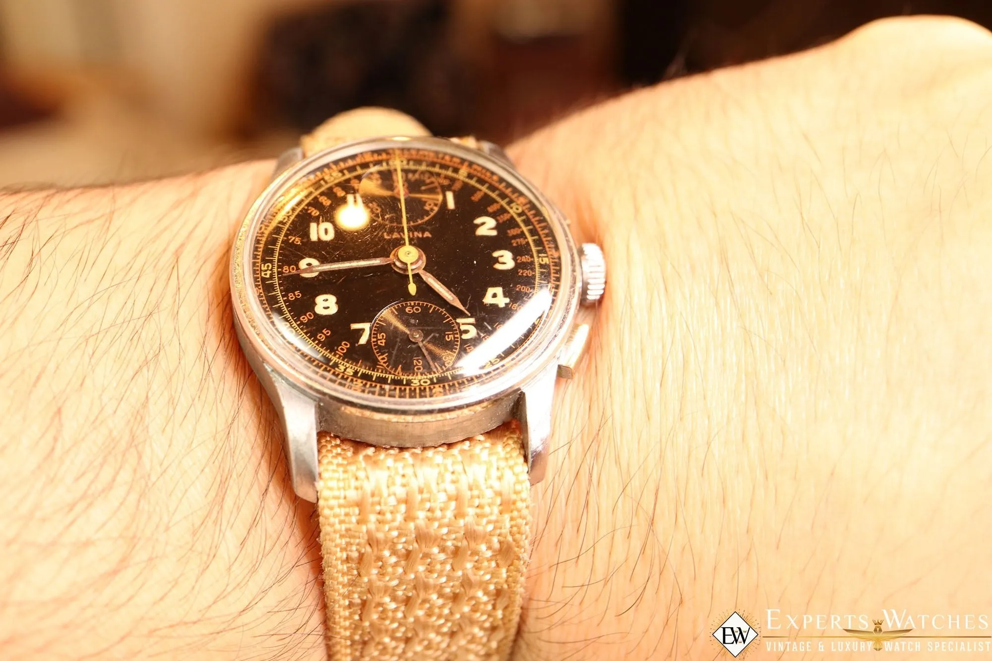 1950's Vintage Lavina Wakmann Military UP Down Chronograph Venus 170 Tropical