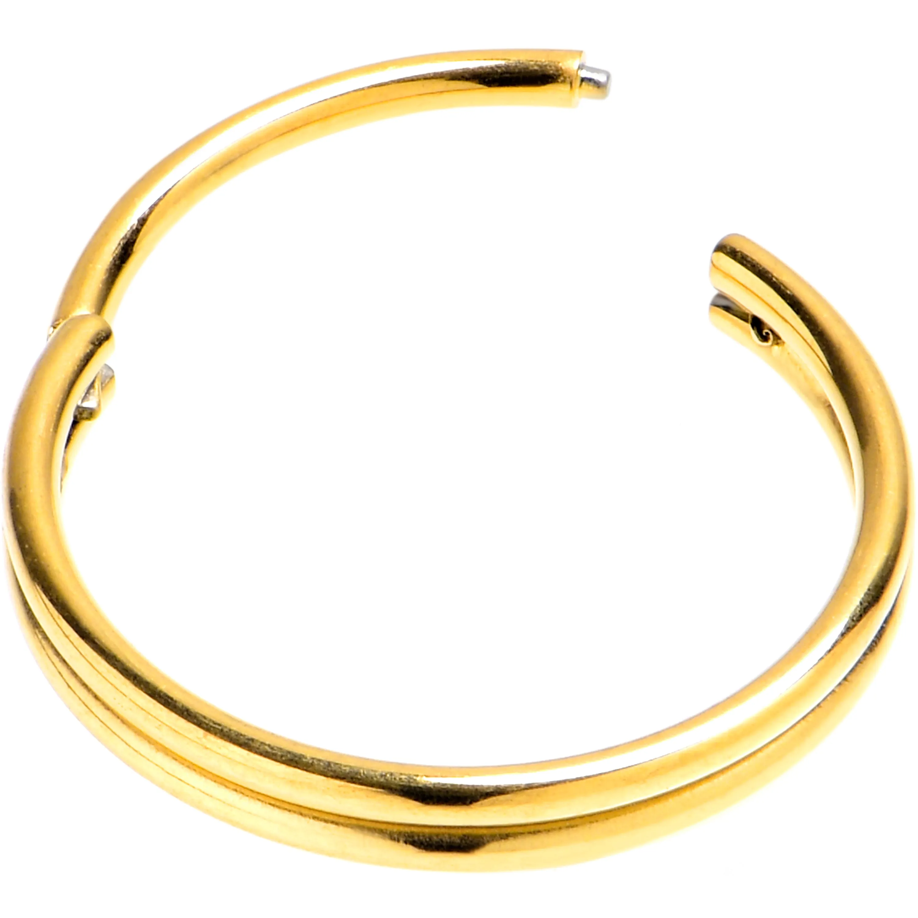 20 Gauge 3/8 Gold PVD 316L Surgical Steel Double Precision Hinged Segment Ring