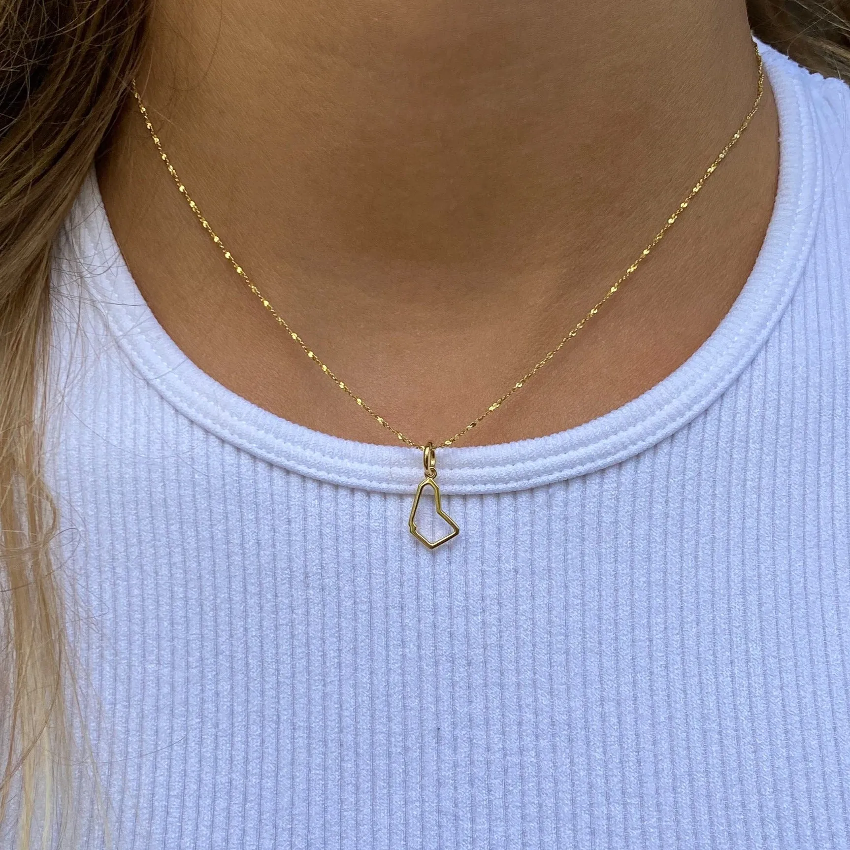 Barbados Outline Charm