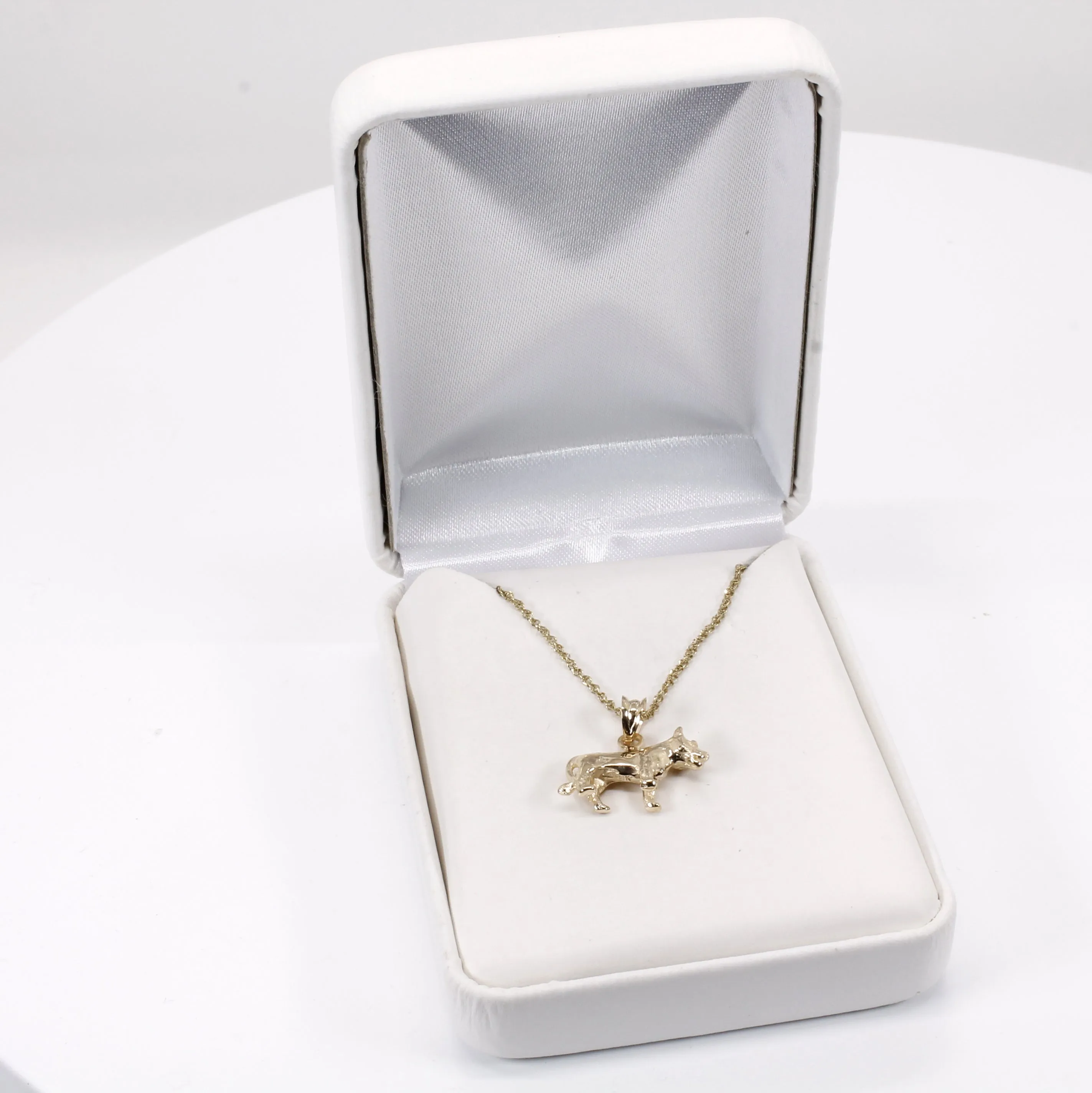 Gold Lioness Necklace for her in Solid 14kt Gold