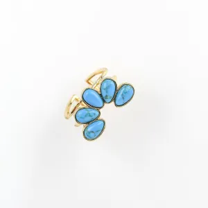 Kyle Ring