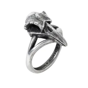 Little Raven Skull Ring