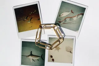 Maripol, "Paper Clip Bracelets"