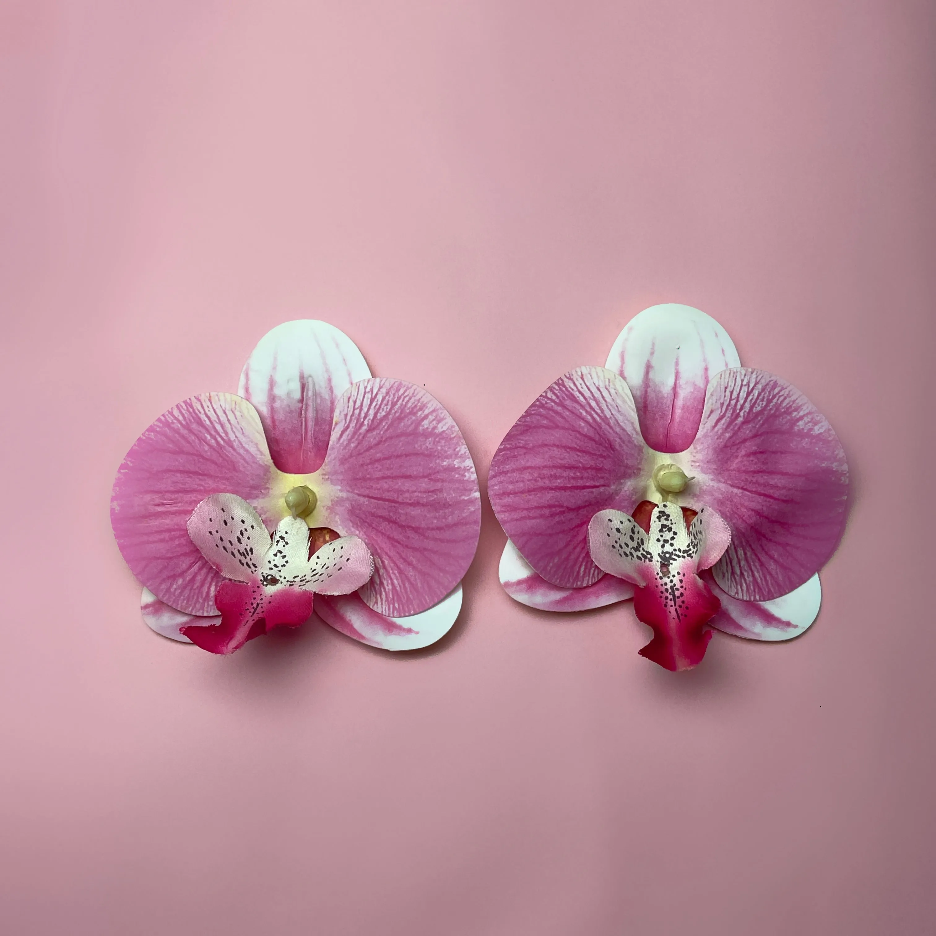 Orchid Flower Earrings