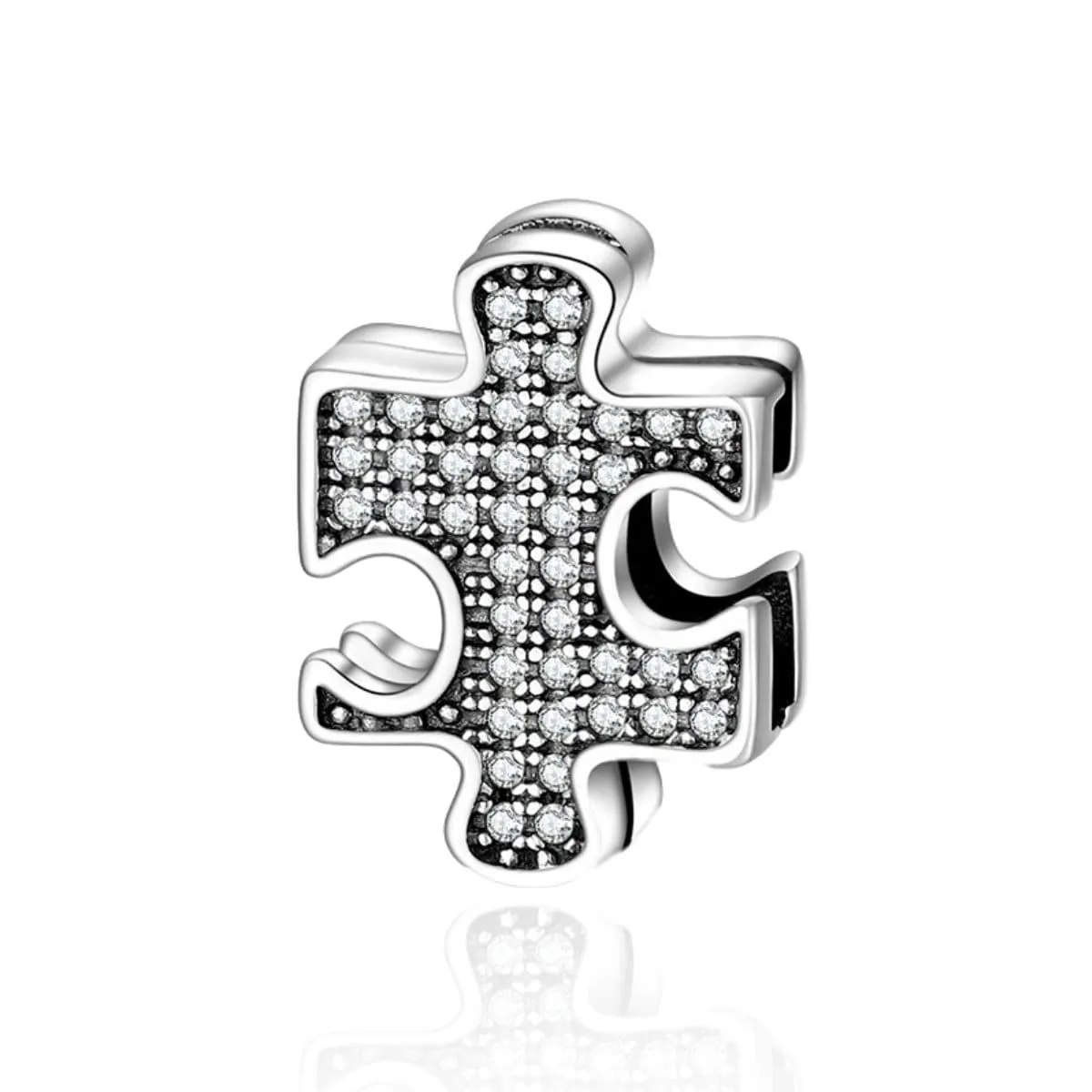 Puzzle Reflexion Charm