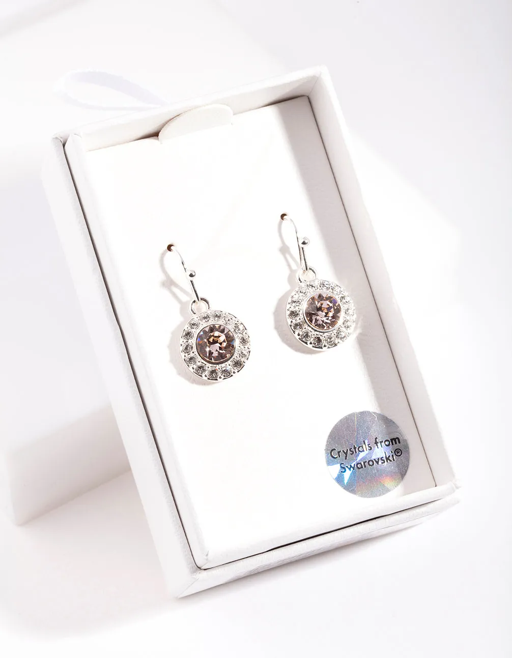Silver Diamond Simulant Circle Drop Earrings