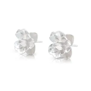 ÍSOLD earrings