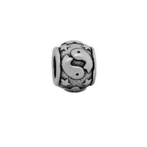 Stainless Steel Pisces Charm