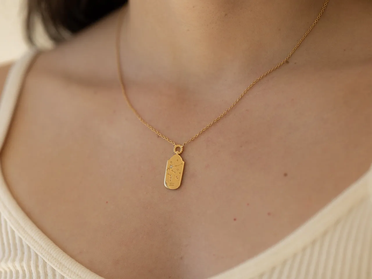 Zodiac Charm Necklace - Choose your sign